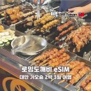 도깨비생맥주 | 가오슝 이심 통화 가능 무제한 로밍도깨비 대만 eSIM 후기 6월 대만 여행