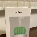 Cactus 🌵 이미지