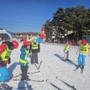 강호 해솔 태권도 이미지