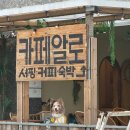 서퍼커피
