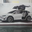 Tesla Model X P100d 화이트(feat. Model S P85d 화이트) 이미지