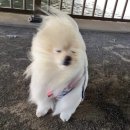 우진카3급부분정비 | 떠나요 넷이서