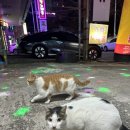 인생극장쪽갈비목포하당점 이미지