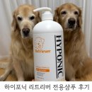 전용용기 | 내돈내산 하이포닉 리트리버 전용 샴푸 &amp; 하이포닉 포미나 거품희석용기 솔직후기