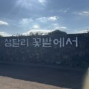 삼달리-9 | 제주 서귀포 동백꽃 "삼달리 꽃밭에서" 카페 방문후기