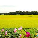 본오유치원 이미지