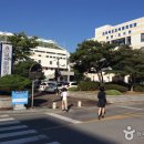 중본 이미지