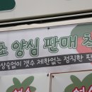 여수생딸기모찌 이미지