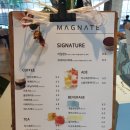 매그네이트 이미지