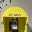 스위트왈왈 이미지