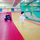 키크는 나무 이미지