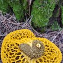 망태수퍼 이미지