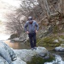 비지1리 이미지