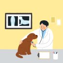 그랜드 동물병원 이미지