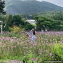 [충북 증평 리조트] 장마기간에 방문한 블랙스톤 벨...정보, 투썸플레이스 등 부대시설 간단후기 및 추천