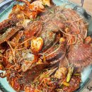조개야사랑회