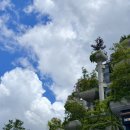 천수 | 상하이 여행 핫플 1000trees(천안천수) 후기｜미쉐린 맛집, 밀크티 카페까지 총정리