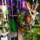 퀘렌시아 이미지