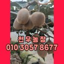 천우농장 이미지