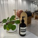 필라테스;연