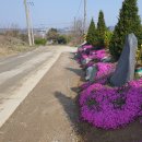 경기둘레길 안성42코스 이미지