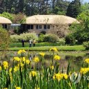 천리포수목원 이미지