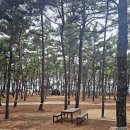 사구해수욕장2 | 부안여행 캠핑 고사포 2야영장 다 19 주차장 해안사구 해수욕장 숙박후기