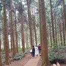 (주)사려니 이미지