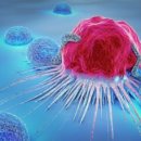 황금과일 이미지