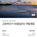 해리스테이펜션