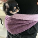 올스타노래클럽 | 주문하신 체력이 소진되어•••