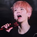 다람 이미지