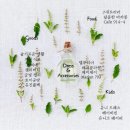 루디아패션공방