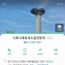 나래인터네셔널