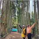 내가 가장 예뻤을때(평일) 이미지