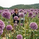 땅끝축산 이미지
