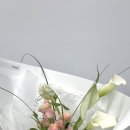 베쥬플라워