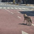 대문초교 이미지