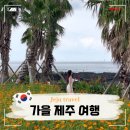 제주빈티지글램핑 | 가을 제주 여행 2박 3일 코스 추천 경비 일정 항공권 특가 총 정리