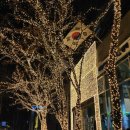 [12월 셋쨋주] 속눈썹펌, 소이랑 저녁, 강남데이트, 온 가족이 모인 주말 마무리