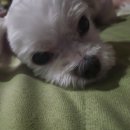 오늘도 맑개 이미지