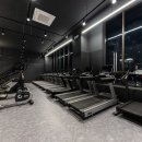 디벨롭짐 이미지