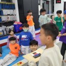 경희대 인하 태권도 이미지