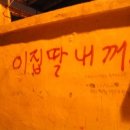 444 네이버블로그