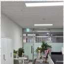다산세무회계 이미지