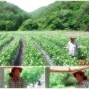 찬숙이네 이미지