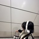 중산간동로 ↔ 일주동로 | 제주 한 달 살이 후기 2탄 - ! 이자 마지막