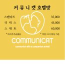 커뮤니캣 고양이 호텔&미용실 네이버블로그