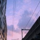 한양대차오름태권도장 | 8월 3주 차 정리