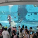 국립해양박물관 이미지